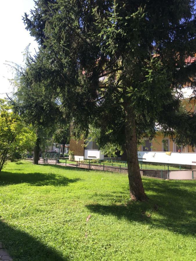 Il Contrabbasso Κρεμόνα Εξωτερικό φωτογραφία
